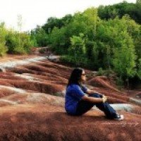 Author avatar